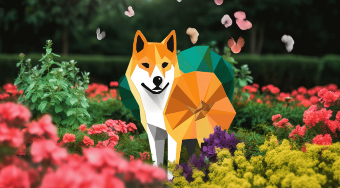 Shiba Inu, Shibarium y lo que los inversores REALMENTE piensan sobre ambos