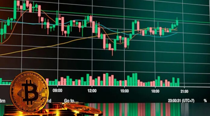 ‘Clones’ de Bitcoin y PEPE destacan en jornada de más pérdidas