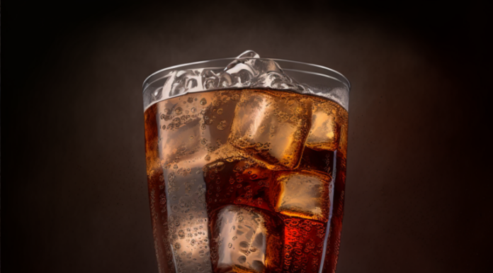 ¿Es la marca $SHIB ‘Como nueva Coca-Cola’?