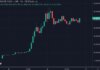 Cómo esta billetera criptográfica convirtió $50,000 en $500,000 en un día con la nueva $SPONGE Memecoin