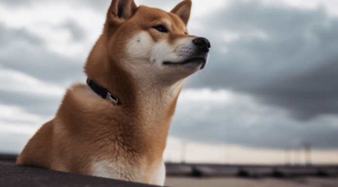 Dogecoin se consolida por debajo de los promedios móviles, ¿cuáles son las posibilidades de ruptura?