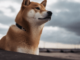Dogecoin se consolida por debajo de los promedios móviles, ¿cuáles son las posibilidades de ruptura?
