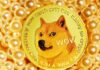 Por qué la última palabra de Elon Musk podría confundir a DOGE y sus titulares