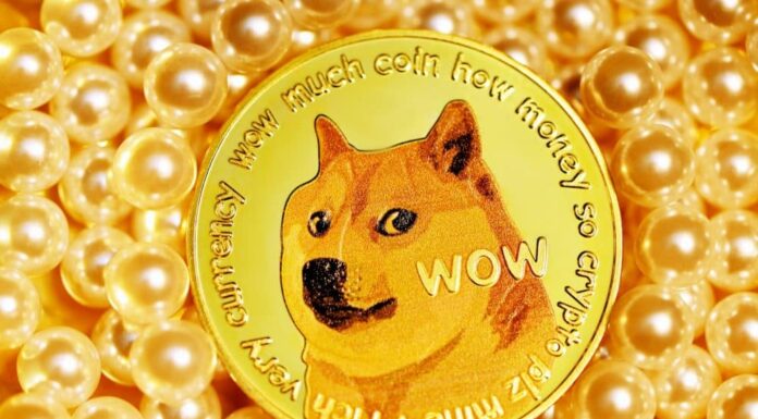 Por qué la última palabra de Elon Musk podría confundir a DOGE y sus titulares