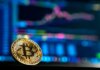 Bitcoin sufre volatilidad y vuelve a caer; Pérdidas de plomo PEPE y BSV