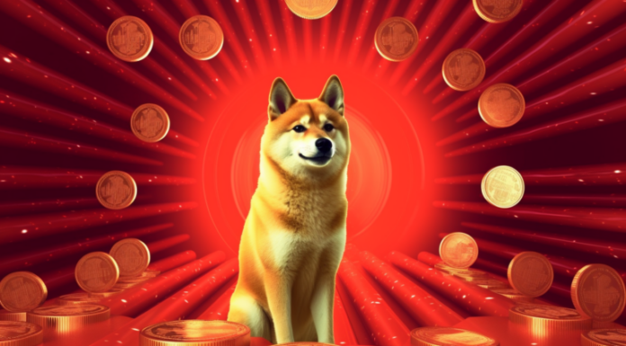 El efecto DRC-20: cómo los tokens de Dogecoin superaron las transacciones diarias de Bitcoin