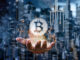 El gurú del comercio John Bollinger revela información sin igual sobre el pico de Bitcoin