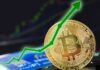 Bitcoin llega a $ 29,000 después de las presentaciones de ETF de BlackRock, WisdomTree e Invesco