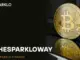 Sparklo se convierte en el favorito de los inversores a medida que Bitcoin Cash y el protocolo informático de Internet se vuelven volátiles
