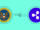 Lo último en Ripple vs. SEC: ¡Resumen de noticias semanales!