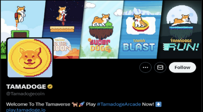 Tamadoge, el juego P2E líder en la industria, lanza la aplicación para Android: ¿ganancias 30 veces mayores mientras TAMA lidera la adopción de Web3?