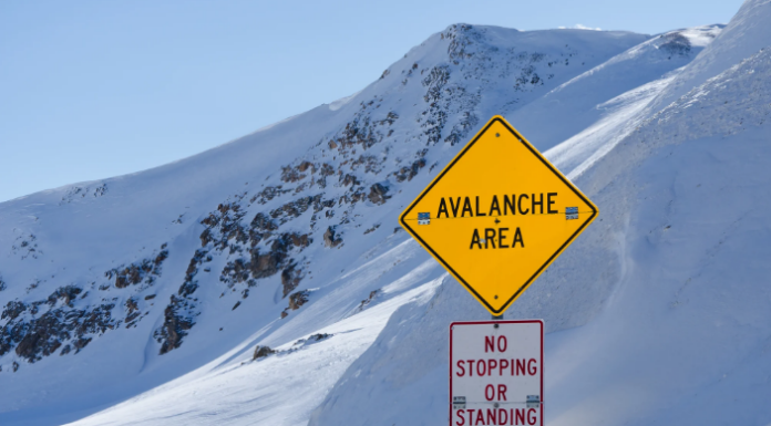 Avalanche (AVAX) retumba con una ganancia del 18 %: ¿hay un cambio de tendencia en el horizonte?
