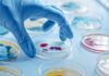 Los científicos desarrollan un nuevo antibiótico para matar a la superbacteria usando IA