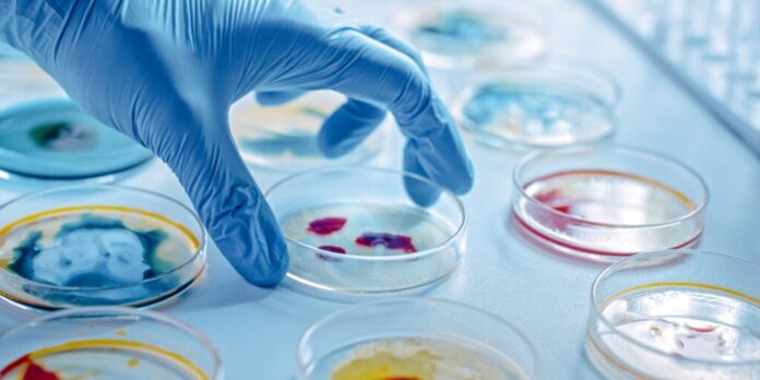 antibiotic-gID_7.jpg