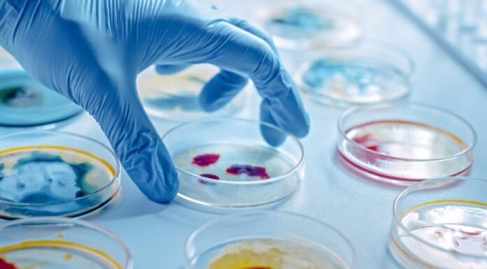 Los científicos desarrollan un nuevo antibiótico para matar a la superbacteria usando IA