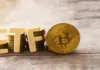 Es probable que se aprueben los ETF de Bitcoin, afirma Allaire de Circle.