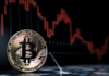 Bitcoin: los tenedores a corto plazo ven ganancias
