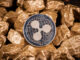 ¿Se necesitan menos de 100 XRP para convertirse en millonario? Una nueva investigación sugiere