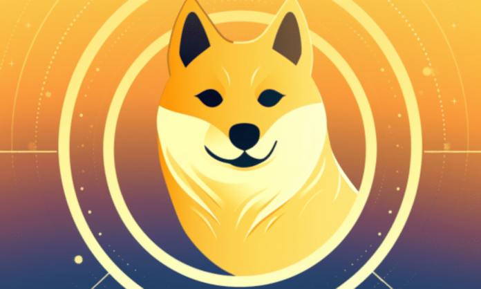image-1200x900-48-1000x600.png
