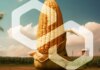 Polygon supera el millón de transacciones