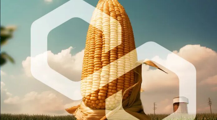 Polygon supera el millón de transacciones