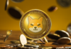 40% Rally on BONE by Shiba Inu, DigiToads en última fase de preventa