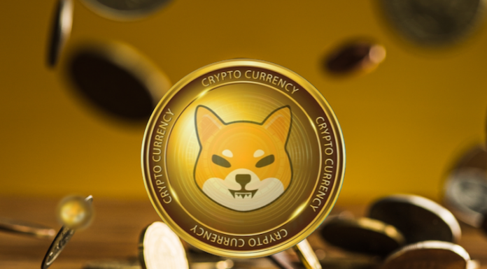 40% Rally on BONE by Shiba Inu, DigiToads en última fase de preventa