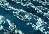 ¿Sobrevivirá Blockchain? Los analistas opinan