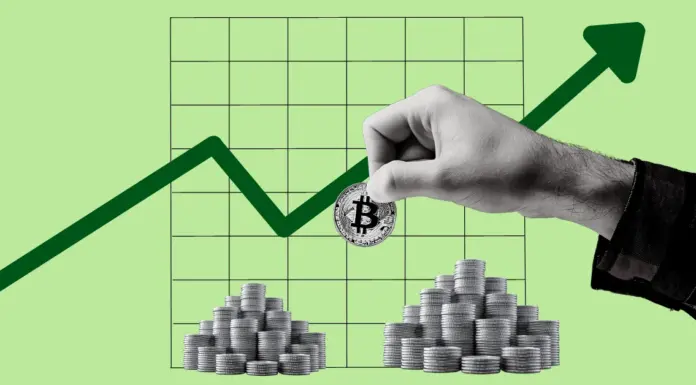 Bitcoin mantiene una posición por encima de los USD 30,500 mientras todo el mercado cotiza en verde