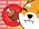 El token del ecosistema Shiba Inu BONE aumenta un 88 %, ¿demasiado tarde para comprarlo?
