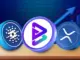 Crypto Expert Tweets Selecciones principales: Bitgert, XRP y Cardano para obtener las mejores ganancias