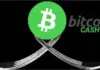 ¿Cuál es el futuro de Bitcoin Cash (BCH)? ¿Por qué la preventa de Alex The Doge (ALEX) es el tema principal de conversación?