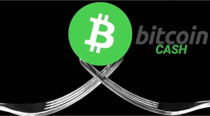 ¿Cuál es el futuro de Bitcoin Cash (BCH)? ¿Por qué la preventa de Alex The Doge (ALEX) es el tema principal de conversación?