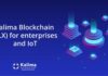 Kalima asegura un compromiso de inversión de $10 millones y anuncia una venta privada y cotización DEX