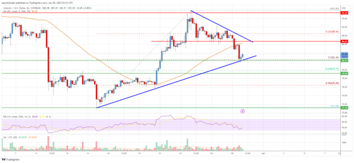 Litecoin-4.png