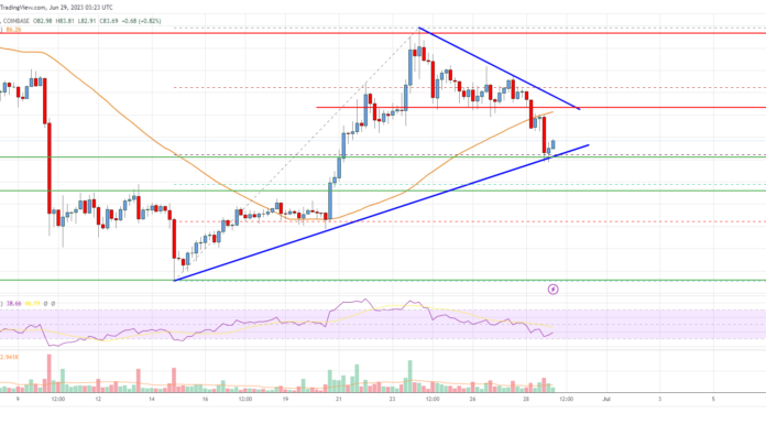 Análisis de precios de Litecoin (LTC): Caídas atractivas cerca de $ 82