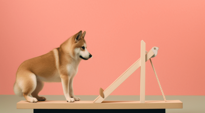Aumenta la demanda de Shiba Inu; ¿SHIB verá el impacto?
