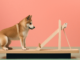 Aumenta la demanda de Shiba Inu; ¿SHIB verá el impacto?