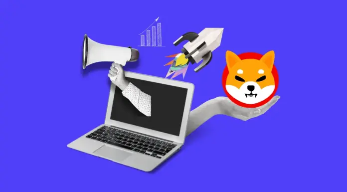 ¿Es efímera la bomba que se dispara de Shiba Inu? Esto es lo que puede esperar de SHIB Price Next