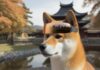 Shib: The Metaverse: cuando comienza la cuenta regresiva, esto es lo que puede esperar