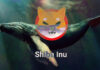 La ballena Shiba Inu posee el 10% del suministro total de SHIB conmociona al mercado