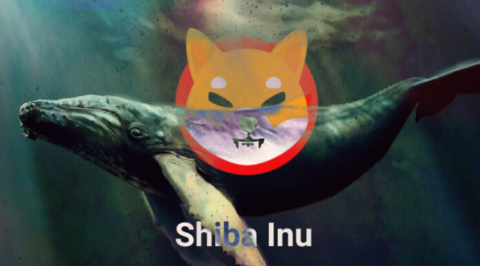 La ballena Shiba Inu posee el 10% del suministro total de SHIB conmociona al mercado