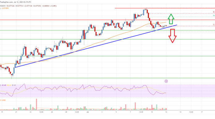 Análisis de precios de Tron (TRX): los toros apuntan a otro rally a $ 0.085