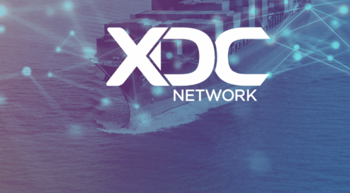 XDC Network domina la lista de los 100 mejores del fin de semana con un 50 % de recuperación