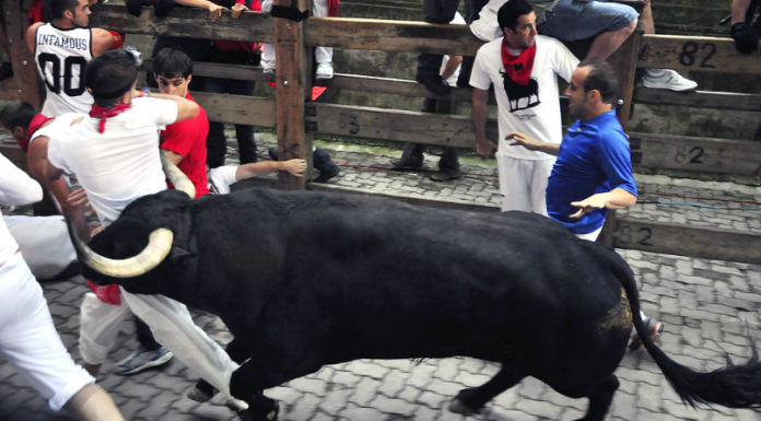 ¿Los toros de Litecoin se dirigen rápidamente hacia el nivel de $92 – ¿Tendrán éxito?