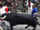 ¿Los toros de Litecoin se dirigen rápidamente hacia el nivel de $92 – ¿Tendrán éxito?