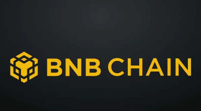 La cadena BNB logra un nuevo récord con una actividad de usuarios en alza: ¿un impulso para el precio?