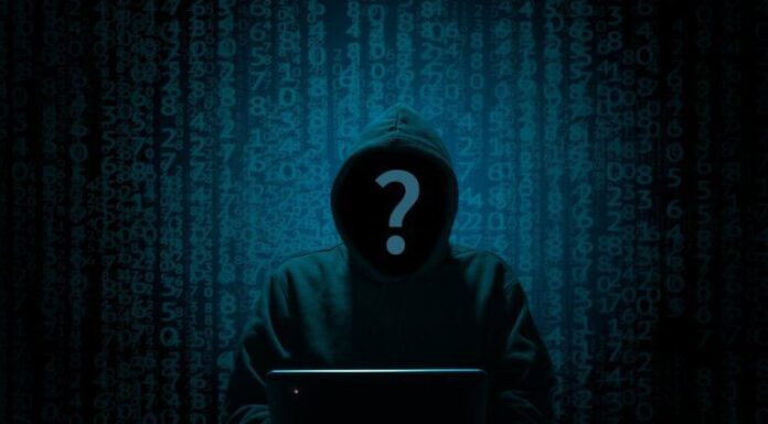 Los piratas informáticos han robado más de 1200 millones de dólares en criptomonedas en lo que va de 2024, informa Immunefi