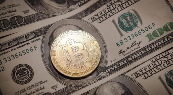 Udi Wertheimer explica por qué los ordinales de Bitcoin son la «mayor oportunidad en criptografía» y predice que los principales proyectos «derretirán caras»