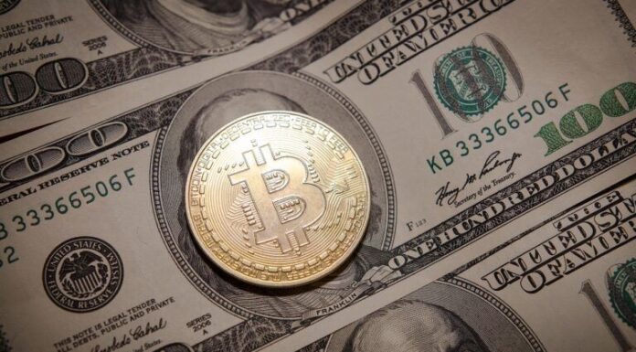 El CSO de CoinShares habla sobre la feroz batalla entre los administradores de activos por el dominio de los ETF de Bitcoin al contado en EE. UU.
